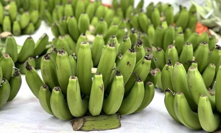 Ý Nghĩa Và Cách Chuẩn Bị Nải Chuối Xanh Cúng Trong Văn Hóa Tâm Linh Việt Nam