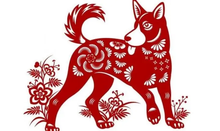 Năm 2026 Cúng Hoa Màu Gì? Bật Mí Ý Nghĩa Phong Thủy Và Cách Chọn Chuẩn Xác