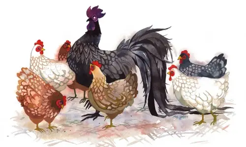 Năm Dậu Có Nên Cúng Gà? Giải Đáp Chi Tiết Từ Chuyên Gia Phong Thủy