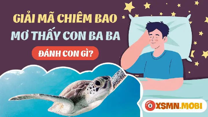 Nằm Mơ Bắt Được 3 Con Ba Ba Đánh Con Gì?
