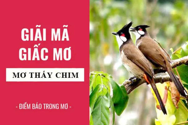 Giải Mã Giấc Mơ Thấy Bắt Được Chim: Điềm Báo Gì Và Con Số May Mắn?