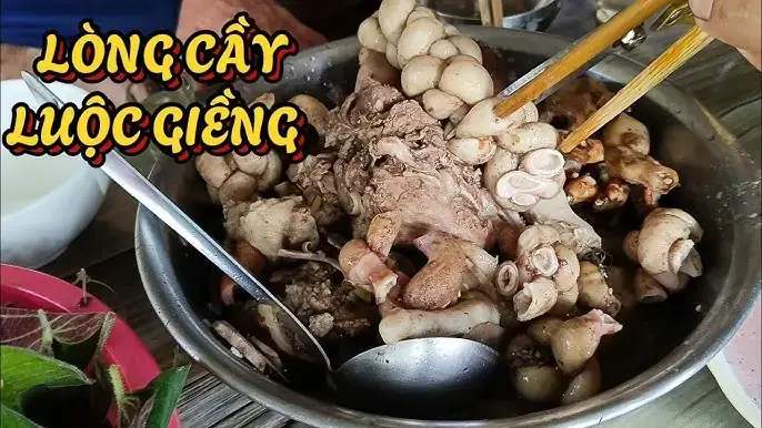 Nằm Mơ Bắt Được Nhiều Tôm Tép: Giải Mã Chi Tiết Ý Nghĩa & Con Số May Mắn