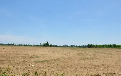 Nằm Mơ Đi Mua Đất Đánh Con Gì? Giải Mã Chi Tiết Ý Nghĩa Và Con Số May Mắn