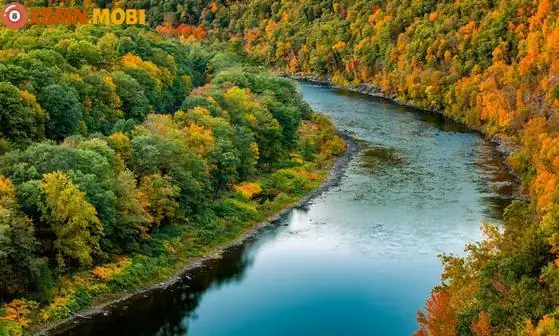 Nằm Mơ Đi Thuyền Trên Sông Đánh Con Gì? Giải Mã Bí Ẩn & Gợi Ý Số May Mắn