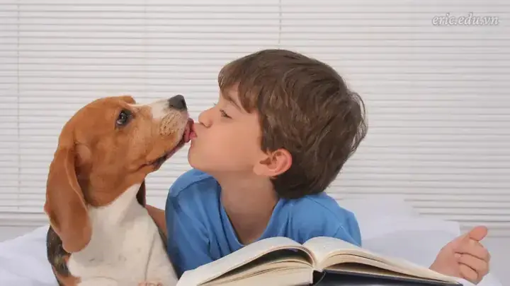 Giải Mã Ý Nghĩa & Con Số May Mắn Khi Nằm Mơ Thấy Hôn Nhau