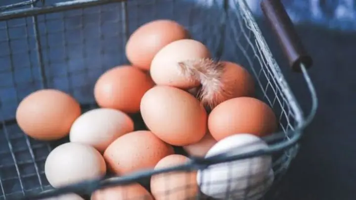 Giải Mã Ý Nghĩa Giấc Mơ Nhặt Được Nhiều Trứng Và Các Con Số May Mắn Liên Quan