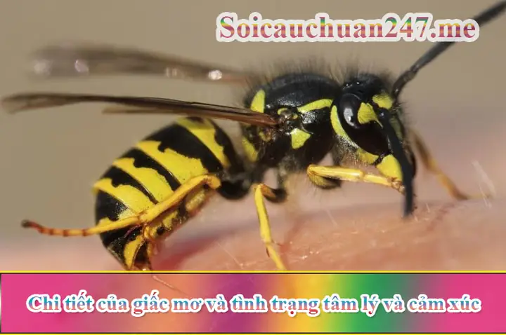 Nằm Mơ Thấy Ong Đốt: Giải Mã Ý Nghĩa Và Con Số May Mắn