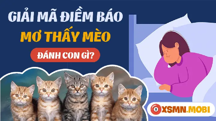 Nằm Mơ Thấy 2 Con Mèo Đánh Số May: Giải Mã Ý Nghĩa Và Con Số Tài Lộc