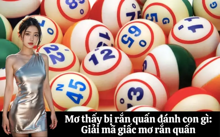 Giải Mã Giấc Mơ Thấy Hai Con Rắn Quấn Nhau: Điềm Báo Gì & Cách Hóa Giải