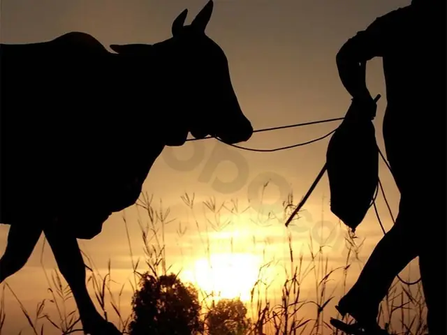 Nằm Mơ Thấy An Com Là Số May: Giải Mã Bí Ẩn Và Con Số Trời Ban