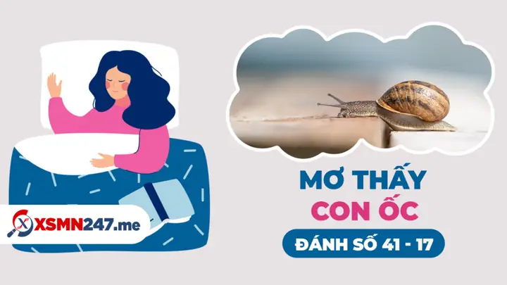 Nằm Mơ Thấy Ăn Ốc Đánh Số Gì: Giải Mã Chi Tiết Ý Nghĩa Và Con Số May Mắn