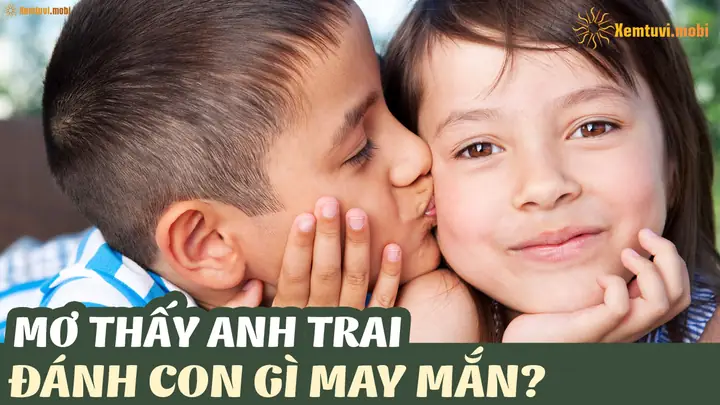 Nằm Mơ Thấy Anh Trai Đánh Mình: Giải Mã Ý Nghĩa Đằng Sau Giấc Mơ