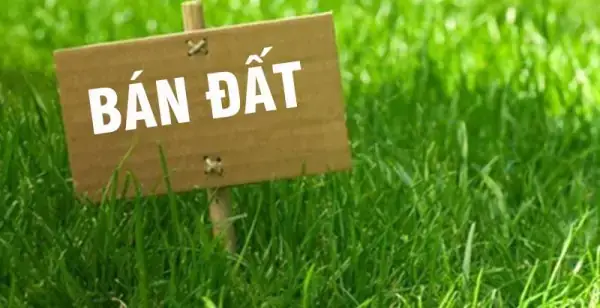 Nằm Mơ Thấy Bán Đất Đánh Con Gì? Giải Mã Chi Tiết Điềm Báo & Con Số