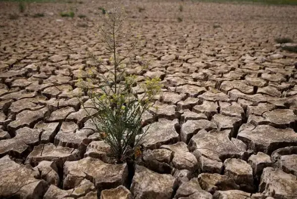 Nằm Mơ Thấy Bán Đất Đánh Con Gì? Giải Mã Chi Tiết Điềm Báo & Con Số