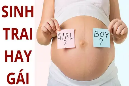 Giải Mã Giấc Mơ Thấy Cá: Điềm Báo Gì Và Những Con Số May Mắn Ẩn Sau