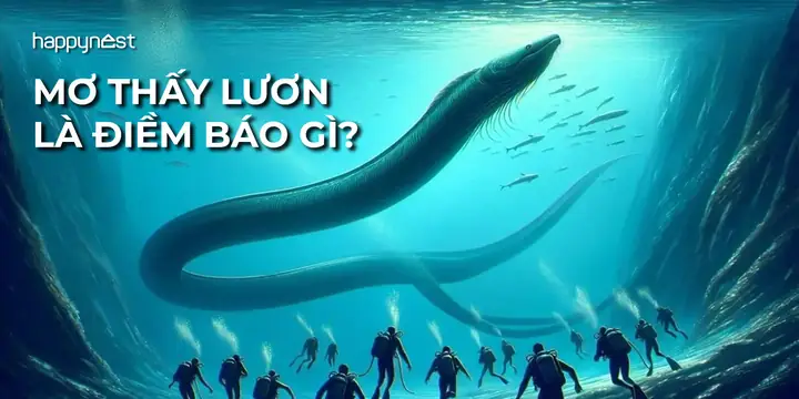 Nằm Mơ Thấy Bắt Được Nhiều Lươn: Giải Mã Ý Nghĩa Và Những Con Số May Mắn