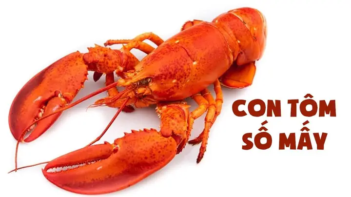 Nằm Mơ Thấy Bắt Được Nhiều Tép: Giải Mã Ý Nghĩa Tâm Linh Và Con Số May Mắn