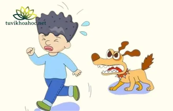 Giải Mã Chi Tiết Giấc Mơ Thấy Bị Rượt Đuổi: Điềm Báo Tốt Hay Xấu?