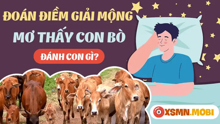 Giải Mã Giấc Mơ Thấy Bò Đuổi Húc Mình: Điềm Báo Gì Và Những Con Số May Mắn