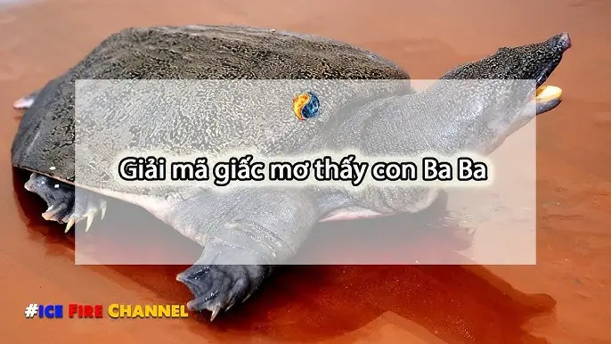 Giải Mã Giấc Mơ: Nằm Mơ Thấy Bố Ruột Đánh Con Gì?