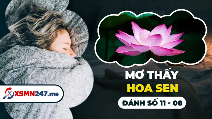 Nằm Mơ Thấy Bông Sen Đánh Con Gì? Giải Mã Chi Tiết Ý Nghĩa Điềm Báo