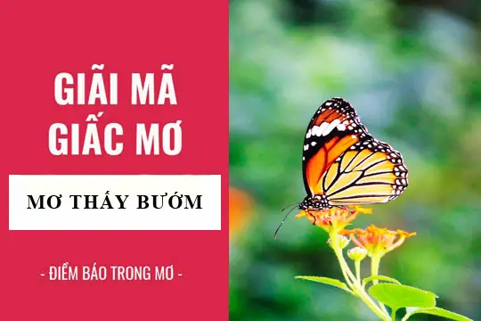 Giải Mã Chi Tiết Ý Nghĩa Nằm Mơ Thấy Bướm Đậu Vào Tay Và Các Con Số May Mắn