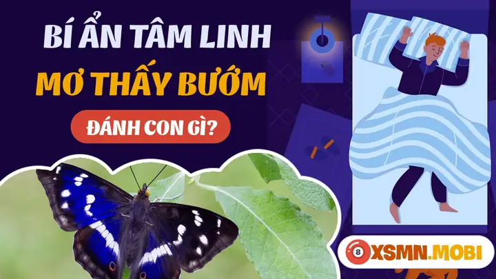 Giải Mã Chi Tiết Ý Nghĩa Nằm Mơ Thấy Bướm Đậu Vào Tay Và Các Con Số May Mắn