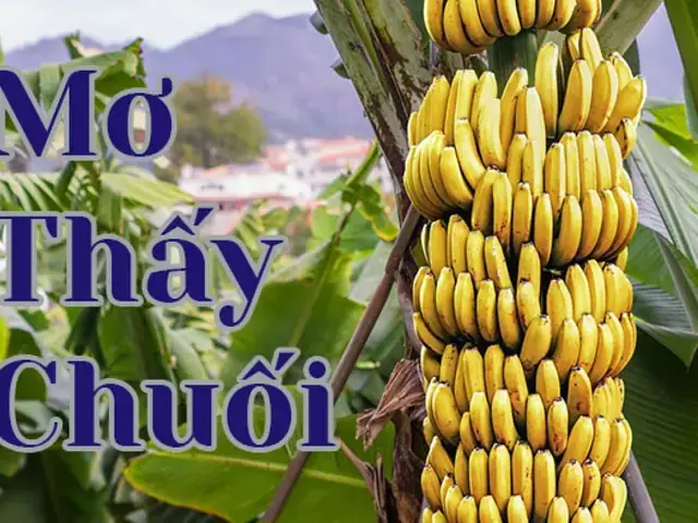 Nằm Mơ Thấy Buồng Chuối Xanh Đánh Con Gì? Giải Mã Chi Tiết Ý Nghĩa Giấc Mơ