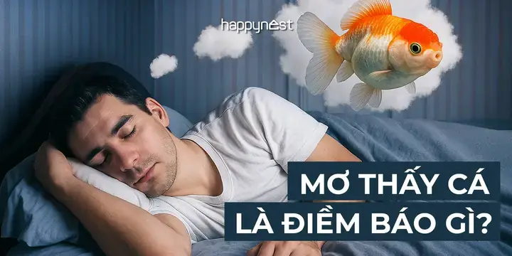 Giải Mã Giấc Mơ Thấy Cá Bơi Trên Trời: Ý Nghĩa, Điềm Báo Và Con Số May Mắn