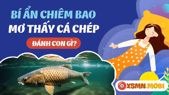 Giải Mã Giấc Mơ Thấy Cá Chép: Điềm Lành, Điềm Dữ Và Con Số May Mắn