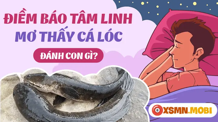Nằm Mơ Thấy Cá Lóc Hên Hay Xui: Giải Mã Ý Nghĩa Chi Tiết Và Con Số May Mắn