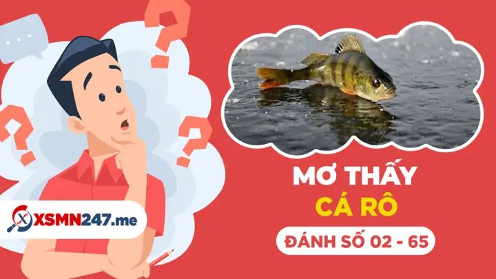 Nằm Mơ Thấy Cá Rô Đồng Đánh Số May: Giải Mã Ý Nghĩa Và Con Số Tài Lộc