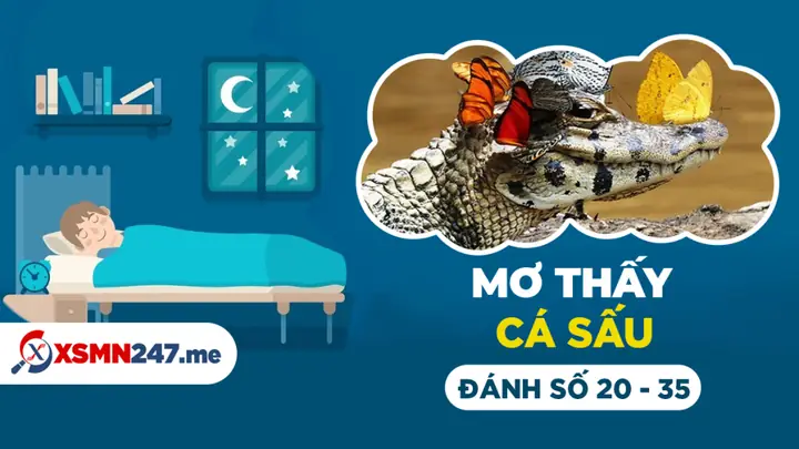 Nằm Mơ Thấy Cá Sấu Đánh Số May: Giải Mã Ý Nghĩa Và Các Con Số Tài Lộc