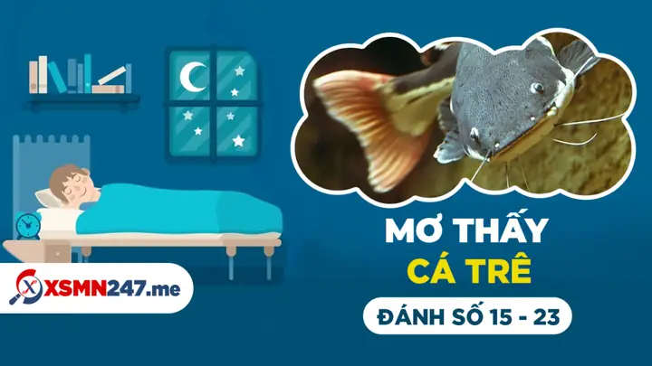 Nằm Mơ Thấy Cá Trê Đen Đánh Con Gì? Giải Mã Bí Ẩn Và Con Số May Mắn