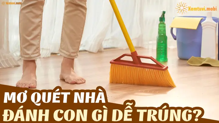Giải Mã Giấc Mơ Thấy Cầm Chổi Quét Nhà: Điềm Báo Gì Và Con Số May Mắn?
