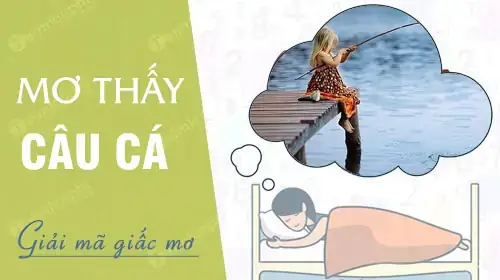 Nằm Mơ Thấy Câu Được Nhiều Cá: Giải Mã Chi Tiết Ý Nghĩa & Con Số May Mắn