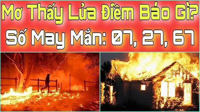 Giải Mã Giấc Mơ Thấy Cháy Rừng: Ý Nghĩa Sâu Xa Và Con Số May Mắn Ẩn Sau