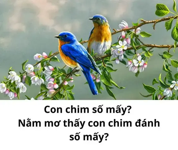 Giải Mã Chi Tiết Ý Nghĩa Nằm Mơ Thấy Chim Cú Và Những Con Số May Mắn
