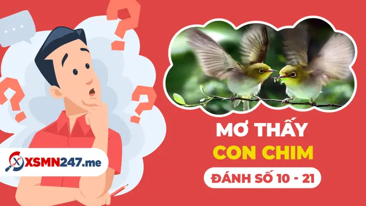 Nằm Mơ Thấy Chim Đánh Số Gì? Giải Mã Chi Tiết Ý Nghĩa Và Con Số May Mắn