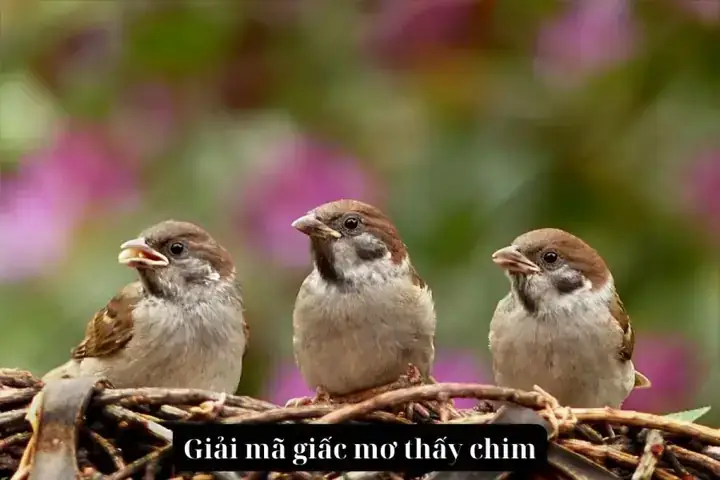 Giải Mã Giấc Mơ Thấy Chim Đậu Trên Cây: Ý Nghĩa Tâm Linh Và Thông Điệp Tiềm Thức