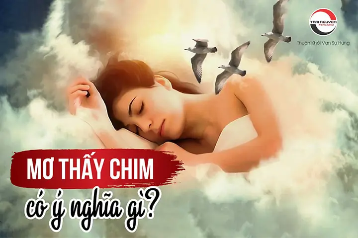 Giải Mã Giấc Mơ Thấy Chim Đậu Trên Cây: Ý Nghĩa Tâm Linh Và Thông Điệp Tiềm Thức