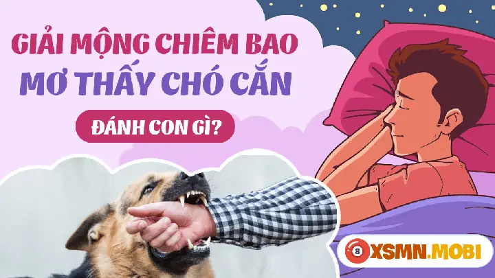 Nằm Mơ Thấy Chó Cắn Vào Chân Đánh Số Gì? Giải Mã Ý Nghĩa Và Con Số May Mắn