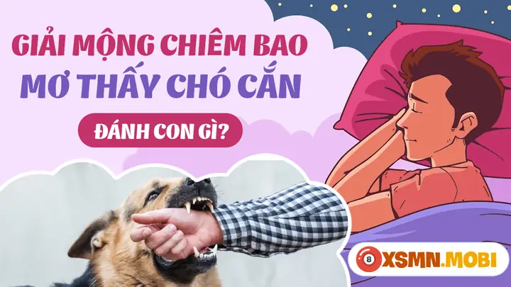 Giải Mã Giấc Mơ Thấy Chó Cắn Vào Tay: Điềm Báo Gì Và Con Số May Mắn