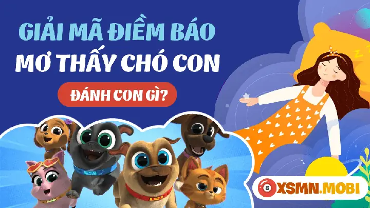 Nằm Mơ Thấy Chó Con Đánh Số May: Giải Mã Ý Nghĩa Và Con Số Tài Lộc