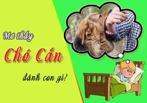 Giải Mã Giấc Mơ Thấy Chó Đuổi Cắn: Điềm Báo Gì Và Con Số May Mắn?
