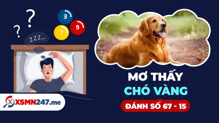 Nằm Mơ Thấy Chó Vàng Đánh Con Gì: Giải Mã Ý Nghĩa Và Con Số May Mắn