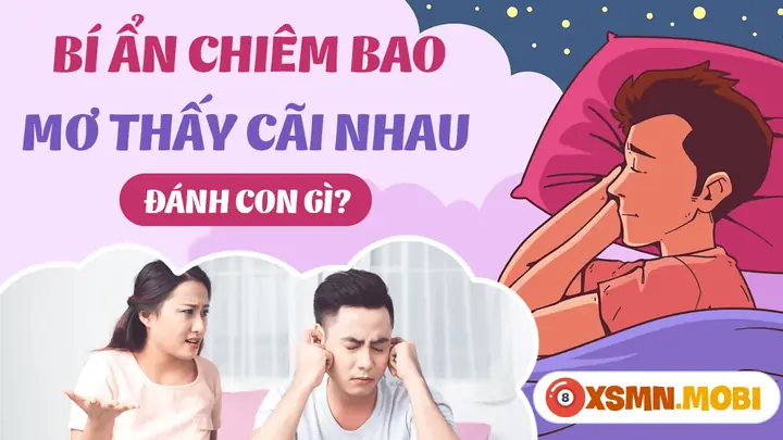 Nằm Mơ Thấy Chửi Lộn: Giải Mã Điềm Báo & Con Số May Mắn
