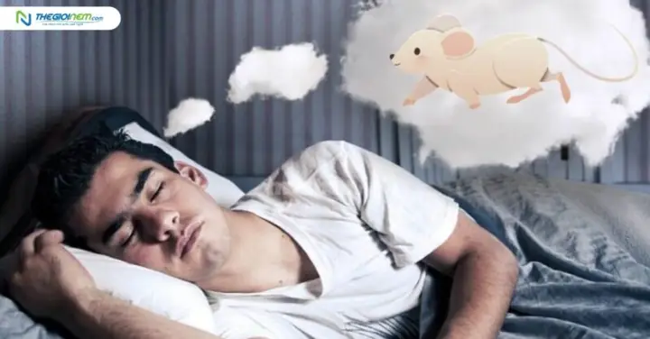 Giải Mã Chi Tiết Ý Nghĩa Và Con Số May Mắn Khi Nằm Mơ Thấy Chuột Cắn Chân