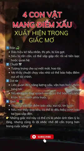 Giải Mã Chi Tiết Ý Nghĩa Và Con Số May Mắn Khi Nằm Mơ Thấy Chuột Cắn Chân