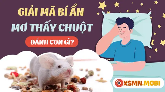 Giải Mã Giấc Mơ Thấy Chuột: Điềm Lành Hay Dữ Và Con Số May Mắn Ẩn Chứa